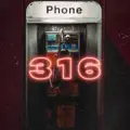 3 1 6
