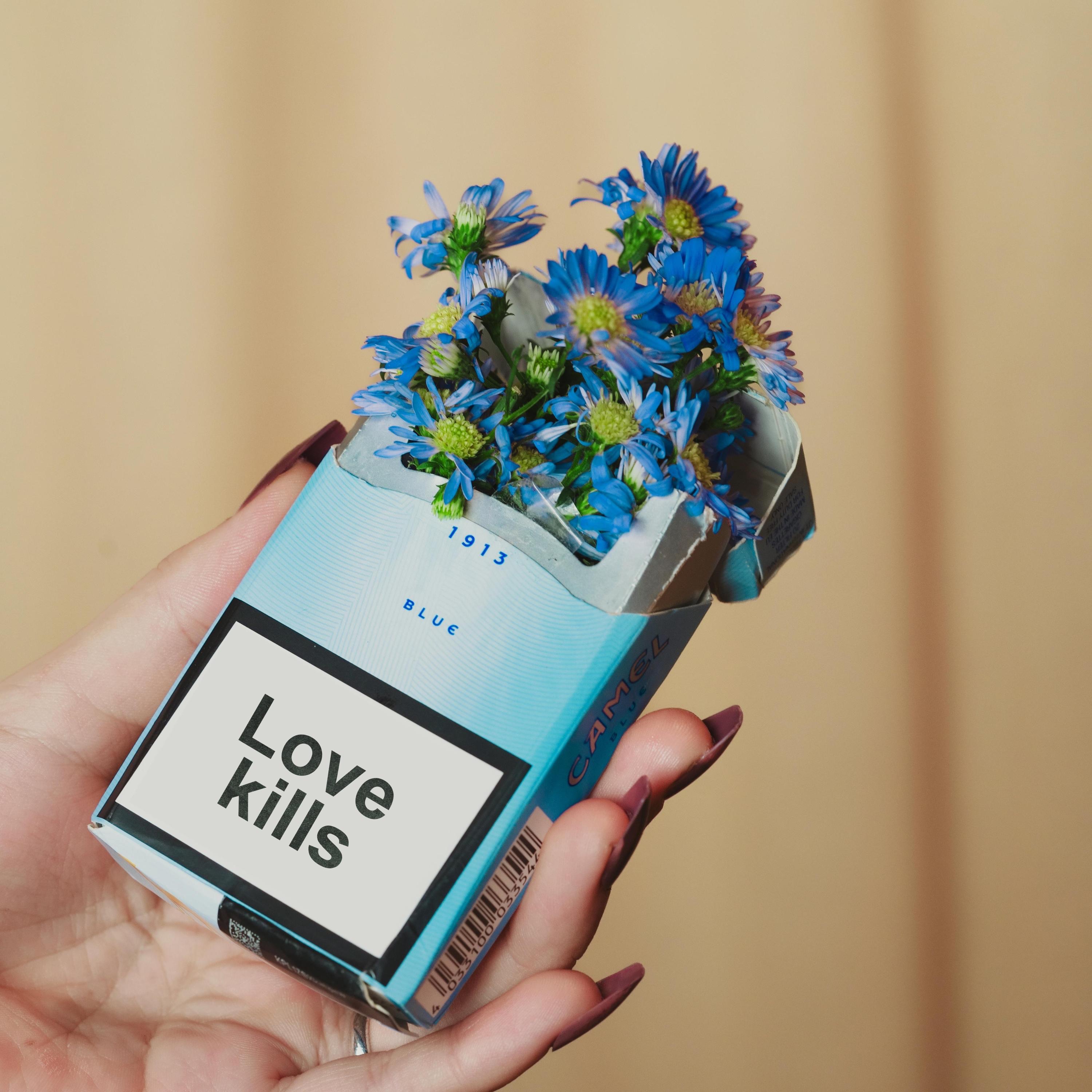 While You're Gone - Single