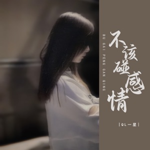 不该碰感情 - EP