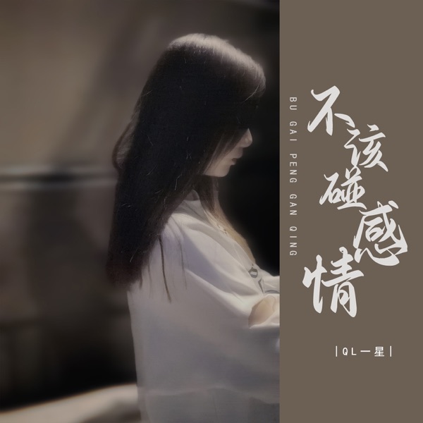 不该碰感情 - EP