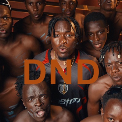 D N D - Single