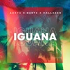 Iguana - Single