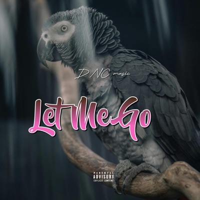 Let Me Go - Single