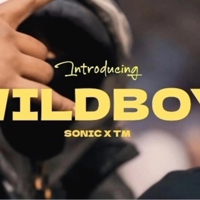 Wildboy (feat. Troublemaker) - Single