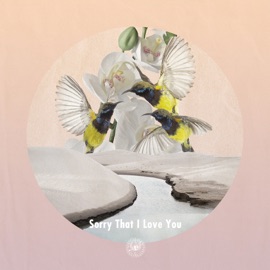 Sorry That I Love You AmPm, brb. & Chocoholic