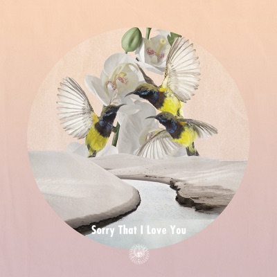 Sorry That I Love You - Single