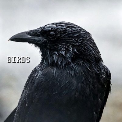 BIRDS (feat. 17Naos) - Single