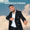 Maraie ca o felina - Single