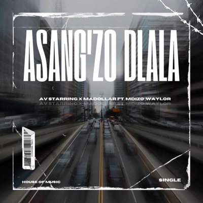 Asang'Zodlala (feat. Mdizo & Waylor) - Single