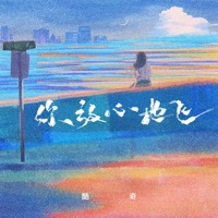 你放心地飞 - Single - 酷奇