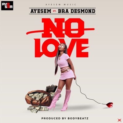 No Love (feat. Bra Desmond) - Single