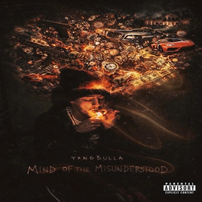 Mind Of The Misunderstood