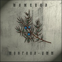 У. М. М - Single - Можевел & МОНГООЛ