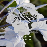 Antología Vol. 7 - Vinculo (feat. Dj Yammz) - Single - Mr Daddy