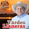 Tardes Llaneras