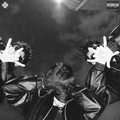 NO MORE TRAPPERS IN MTY - Single