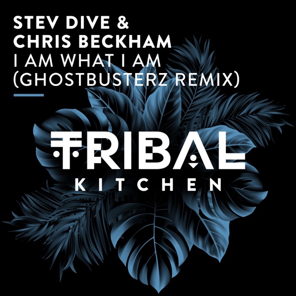 I Am What I Am (Ghostbusterz Remix) - Single