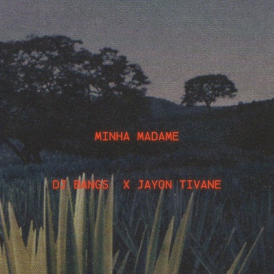 Minha Madame (feat. Jayon Tivane) - Single