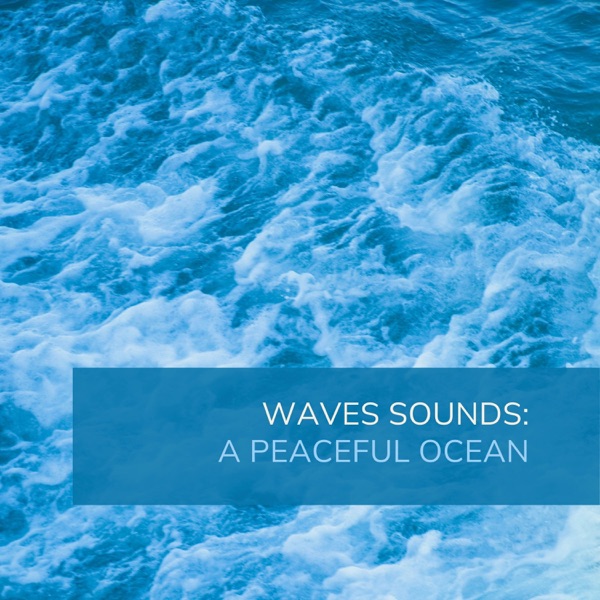 Waves Sounds: A Peaceful Ocean