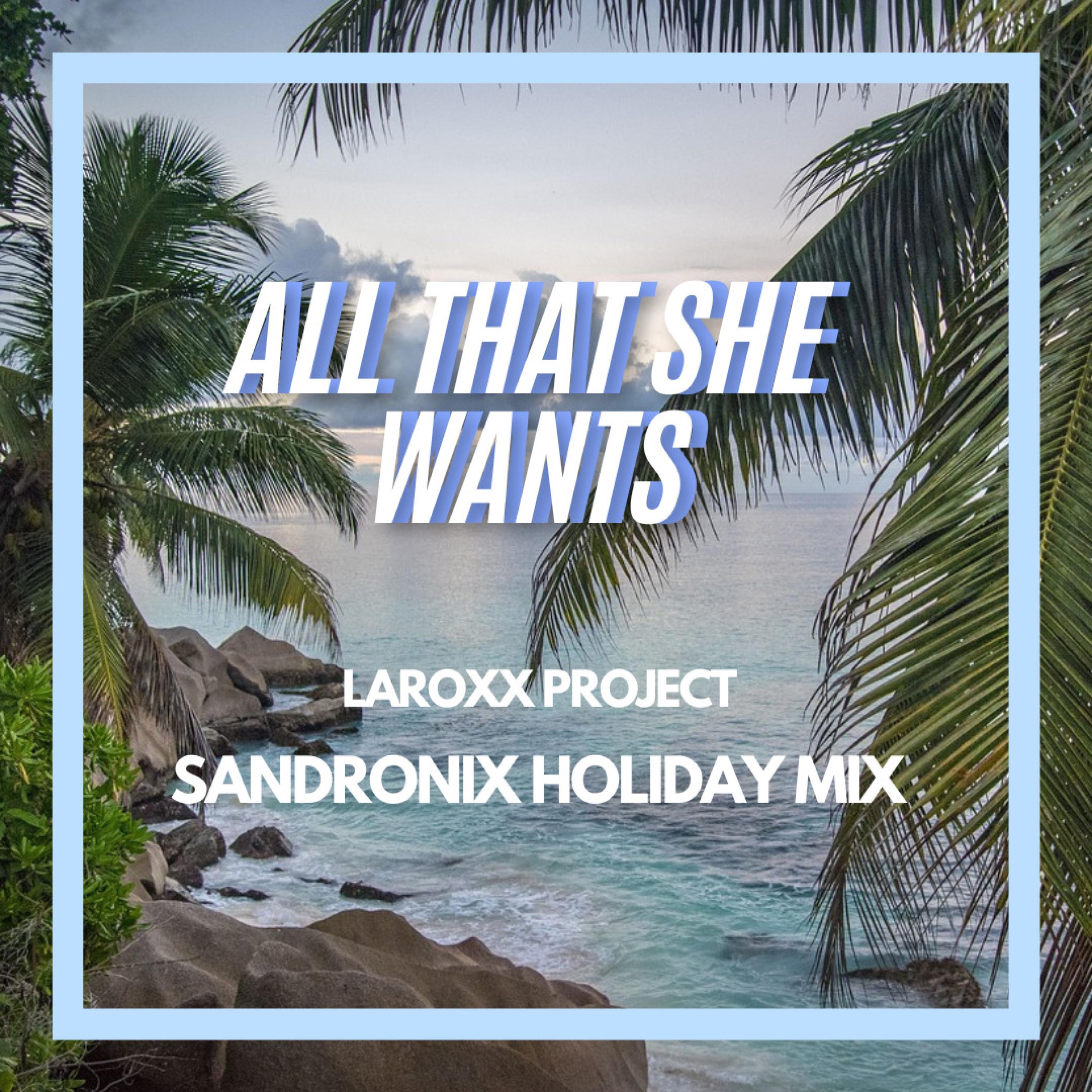 All That She Wants (SandroniX Holiday Mix) - Single