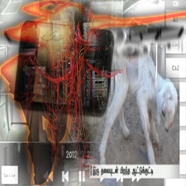 Öþ†ÌÇ§.jþêg...(£rêê ÐðwñlðåÐ) آخرین اخبار ONE EYES LAMB در آزمایشگاه ایجاد شد YOHEI_نقره خدا