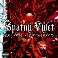 Špatný Výlet (feat. crossf4c3) - Single - Chlubys