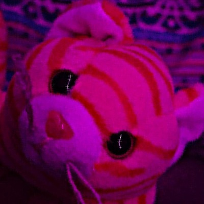 who is you? - Single