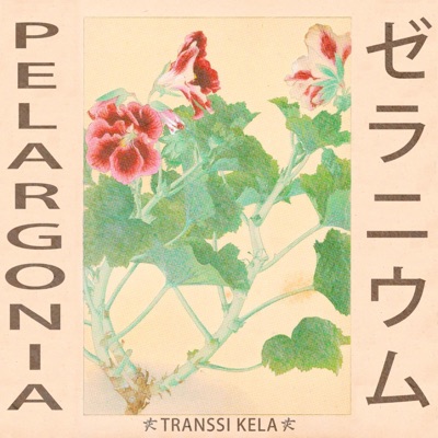 Pelargonia