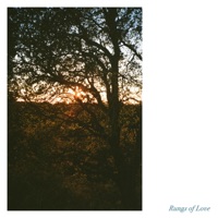 Jenny Gillespie Mason - Rungs of Love