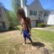 Fuked up (fr4ud) (feat. Souljasiah) - Yvngrixhjunior lyrics