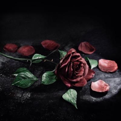 Асфальт - Single