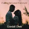 Falling In Love Forever