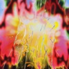 Repeat cover art