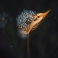 Ожидаем невозможного - Single - За полк & Лика Саурская