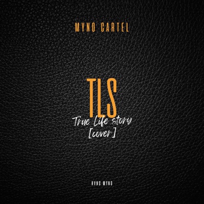 True Life Story (feat. Jeriq) [Cover] - Single