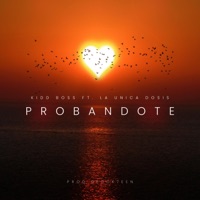 Probandote (feat. kiddboss & La Única Dosis) - Single - Glock7een