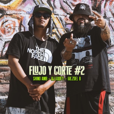 Flujo y Corte #2 - Single