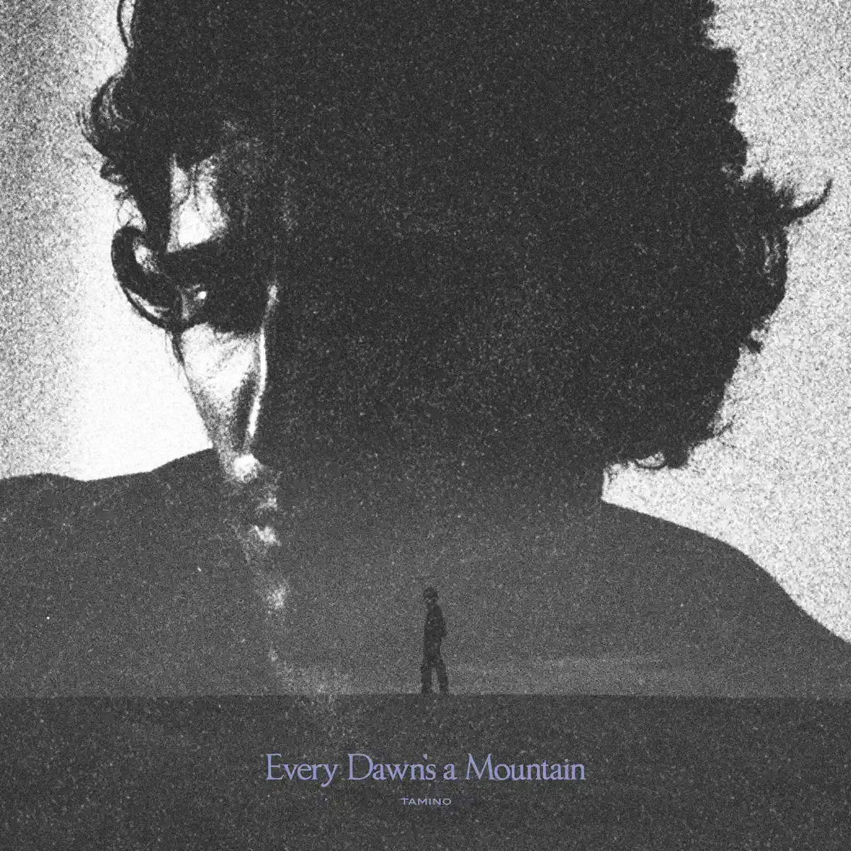 Tamino - Every Dawn's a Mountain (2025) [iTunes Plus AAC M4A]-新房子