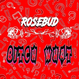 Bitch What (feat. Tori212 & Kyra212) Rosebud