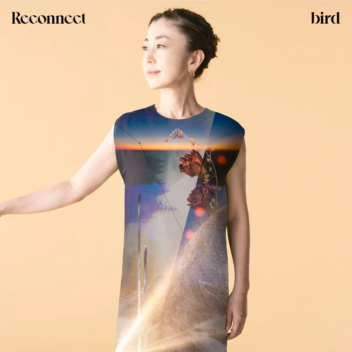 bird - Reconnect (2025) [iTunes Plus AAC M4A]-新房子