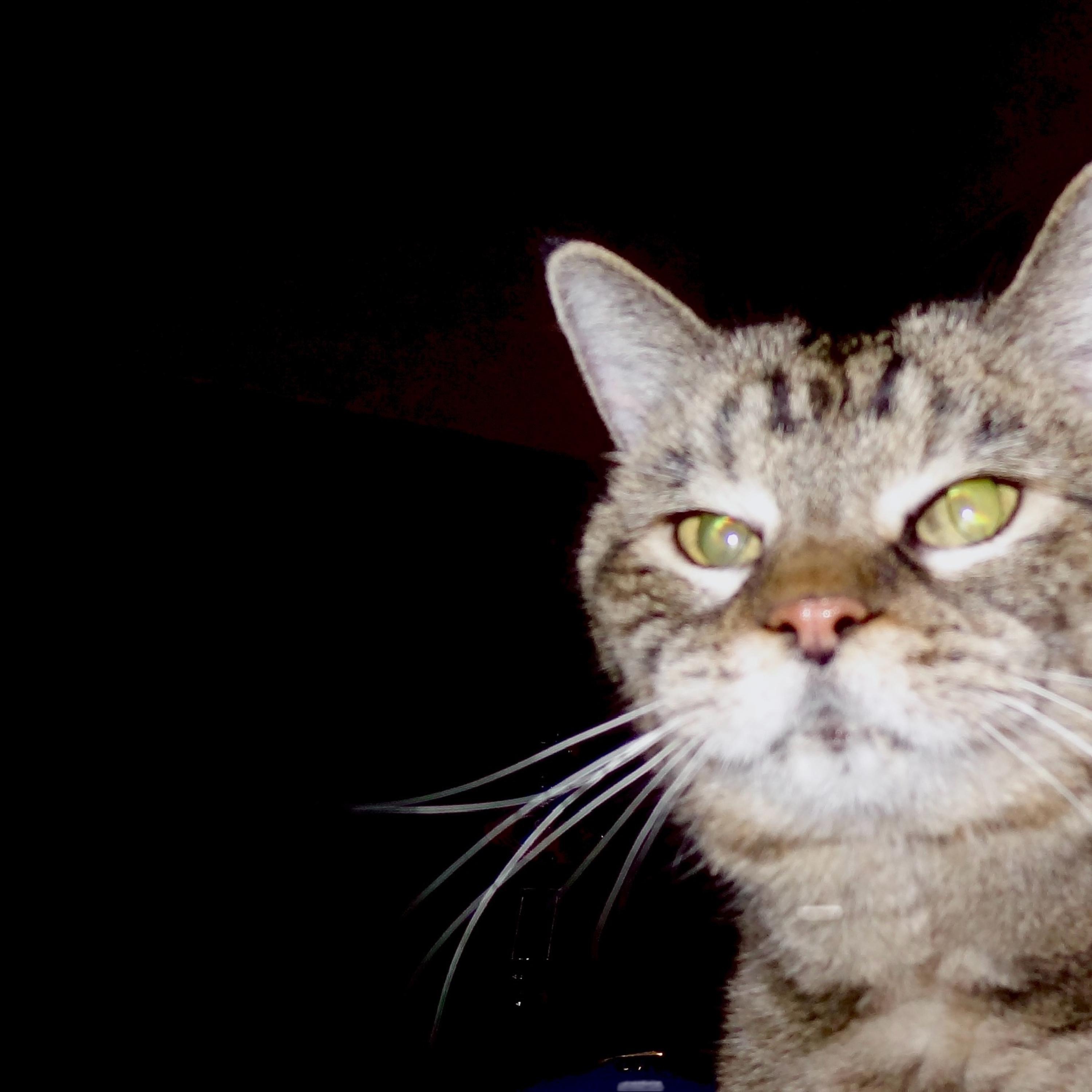 everything you need - EP