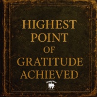 Highest Point of Gratitude Achieved - Ant Kelly
