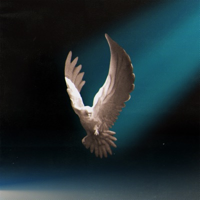 Spirit Fall (feat. Tamara Fontijn) - Single