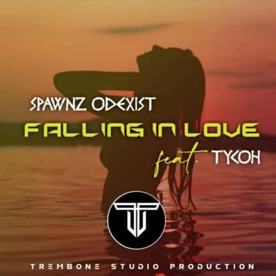Falling In Love - Single