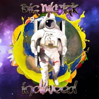 Indiweed - Big Mic Tgk