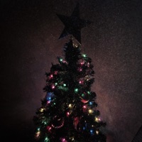X-MAS TREE - Single - Maximo Kriz
