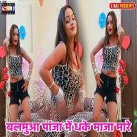 Balamua Panja Me Dhake Maja Mare - Single - Ravi Goswami