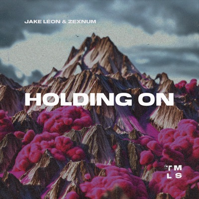 Holding On - Single