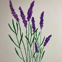 MacPrøju 420 - Single - ØJU