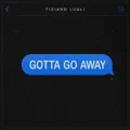 Gotta Go Away